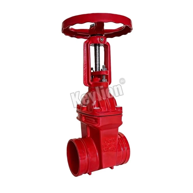 Rooj vag Valve nrog Rising qia